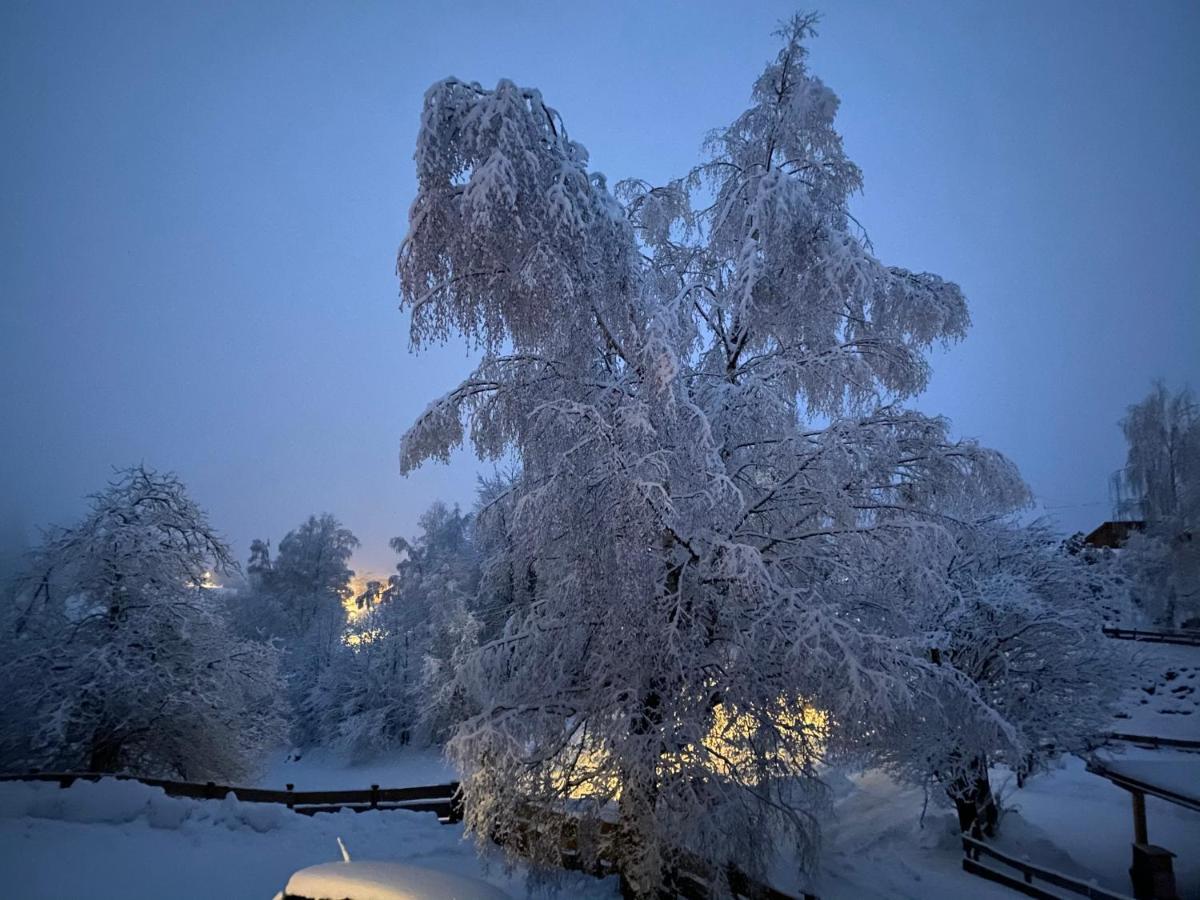 Bei Annelie Apartment Krakaudorf Bagian luar foto